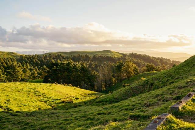 A scenic view of lush green hills and forests in Palmerston North, New Zealand at sunset.