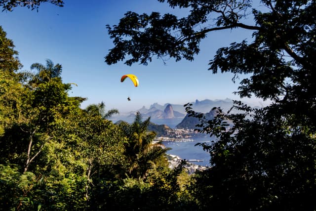 A paraglider soars above lush trees with Sugarloaf Mountain and the sea in the background.