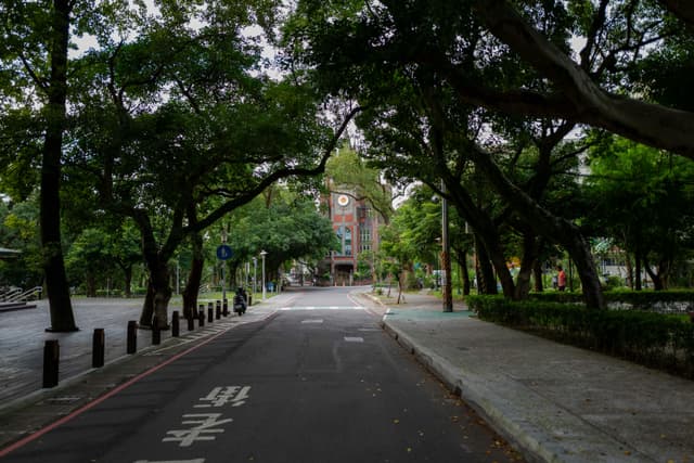 Quiet city street lined with lush trees leading to a church-like building in Taoyuan City, Taiwan.