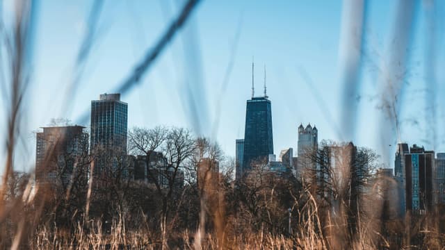 A scenic view of the Chicago skyline seen through winter foliage, featuring iconic skyscrapers under a clear blue sky.