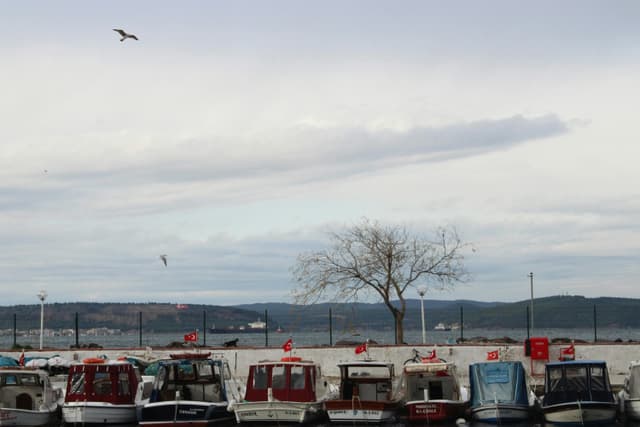 A scenic view of boats docked at Çanakkale harbor with Turkish flags and serene water backdrop.