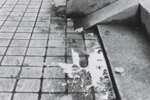 Black and white reflection in puddle beside urban steps, capturing a moody street mood.