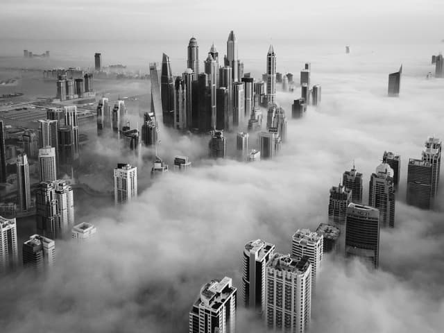 Above the Fog