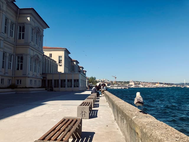 Serene urban waterfront with benches, seagull, and scenic view.