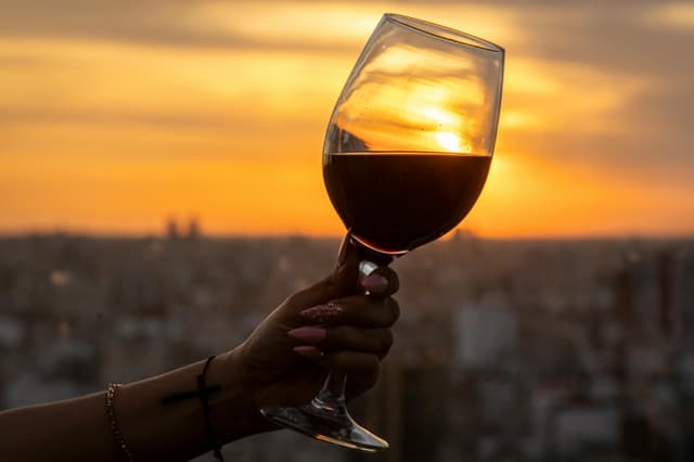 Elegant wine glass held against a vibrant Buenos Aires sunset skyline, capturing serenity and sophistication.