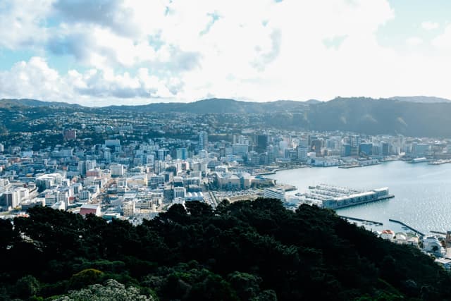 Stunning aerial view of Wellington's urban landscape and waterfront on a sunny day with clouds.