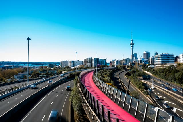 Vibrant view of Auckland's skyline featuring the pink cycleway and Sky Tower under a clear blue sky.
