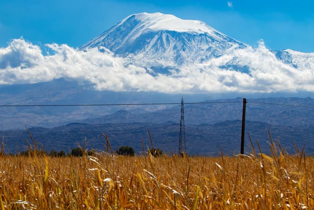 Stunning view of Mount Ararat with golden fields in foreground near Ağrı, Türkiye.
